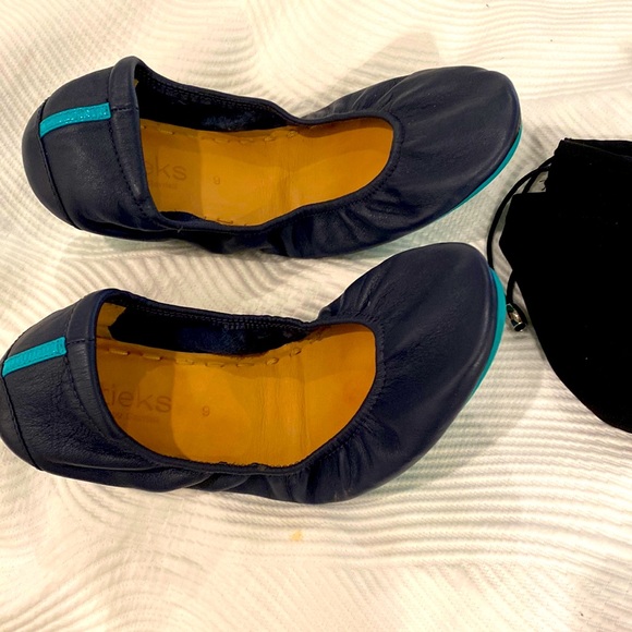 Tieks Shoes - Great condition navy Tieks with bag